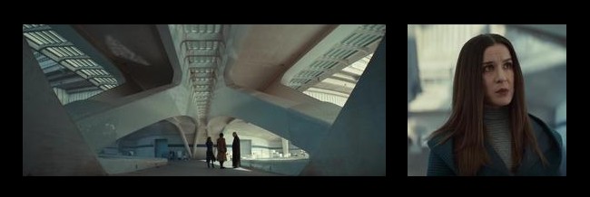 AppearedWhenNeeded-React