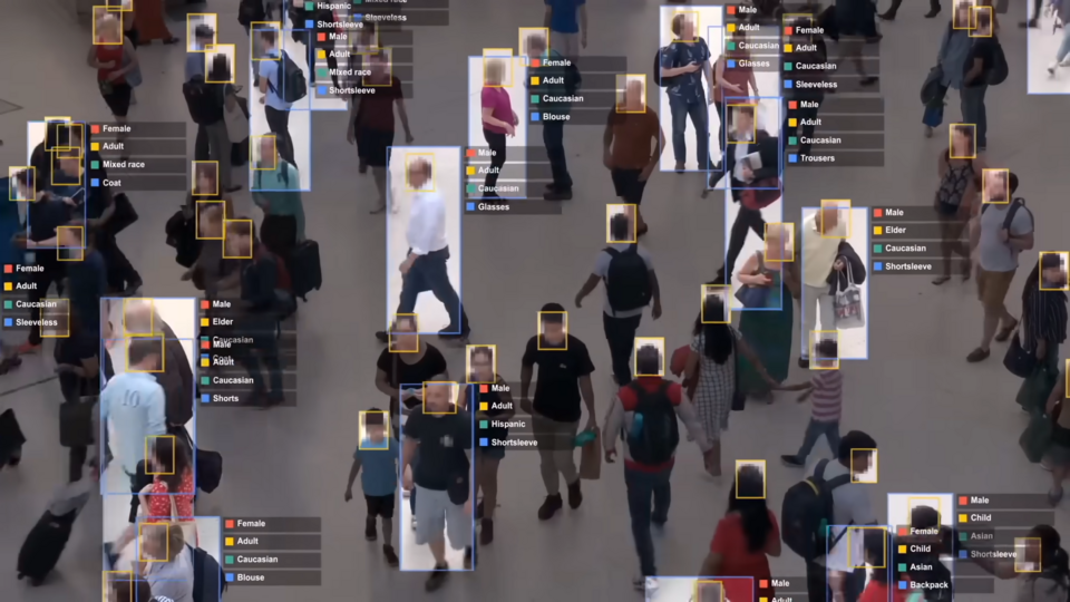 profiling-crowd-screenshot.resized.png Image